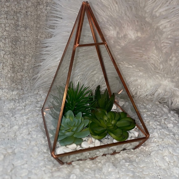 New succulent glass dome decor - Picture 1 of 6